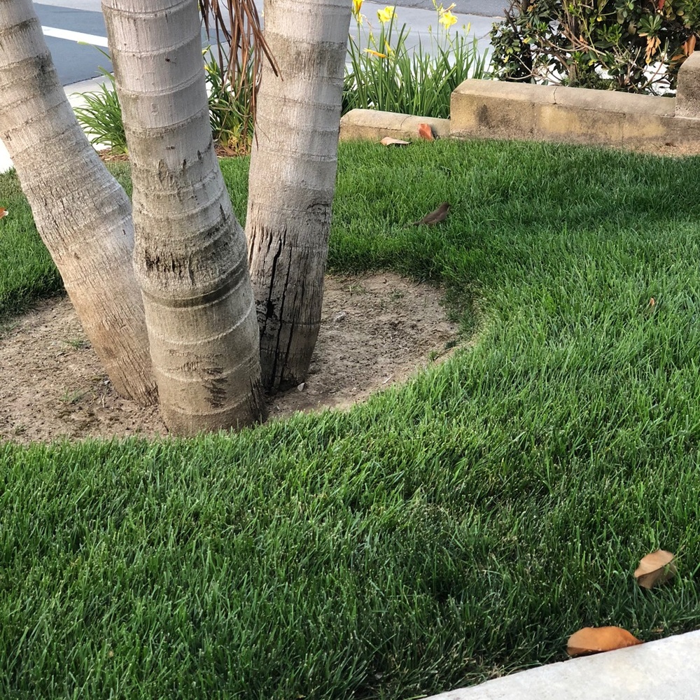 Meet your Posher, Lawrence